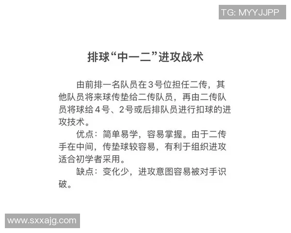 武汉排球队战术解析与对比深度剖析团队优势与不足